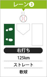 本庄バッティングセンター  バッターボックス