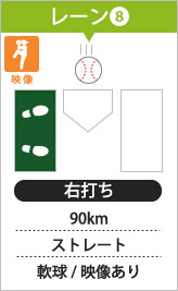 本庄バッティングセンター  バッターボックス